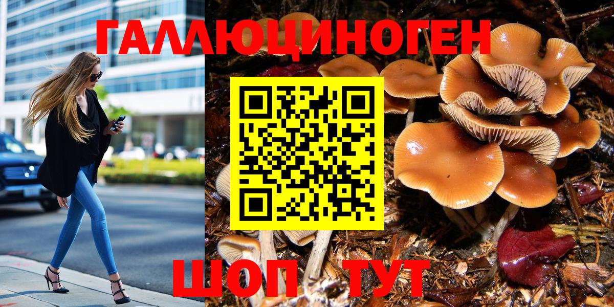 Галлюциногенные грибы Magic Shrooms Отрадное