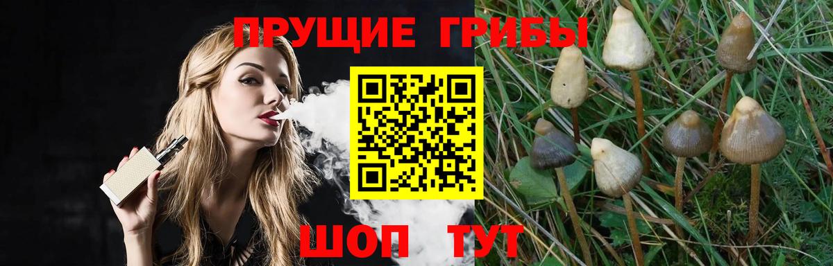 Галлюциногенные грибы Psilocybine cubensis  Вход с VPN  Отрадное  Галлюциногенные грибы MAGIC MUSHROOMS 